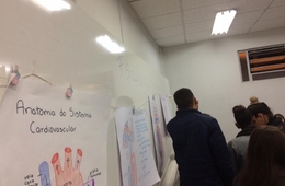 Estudando o sistema cardiovascular